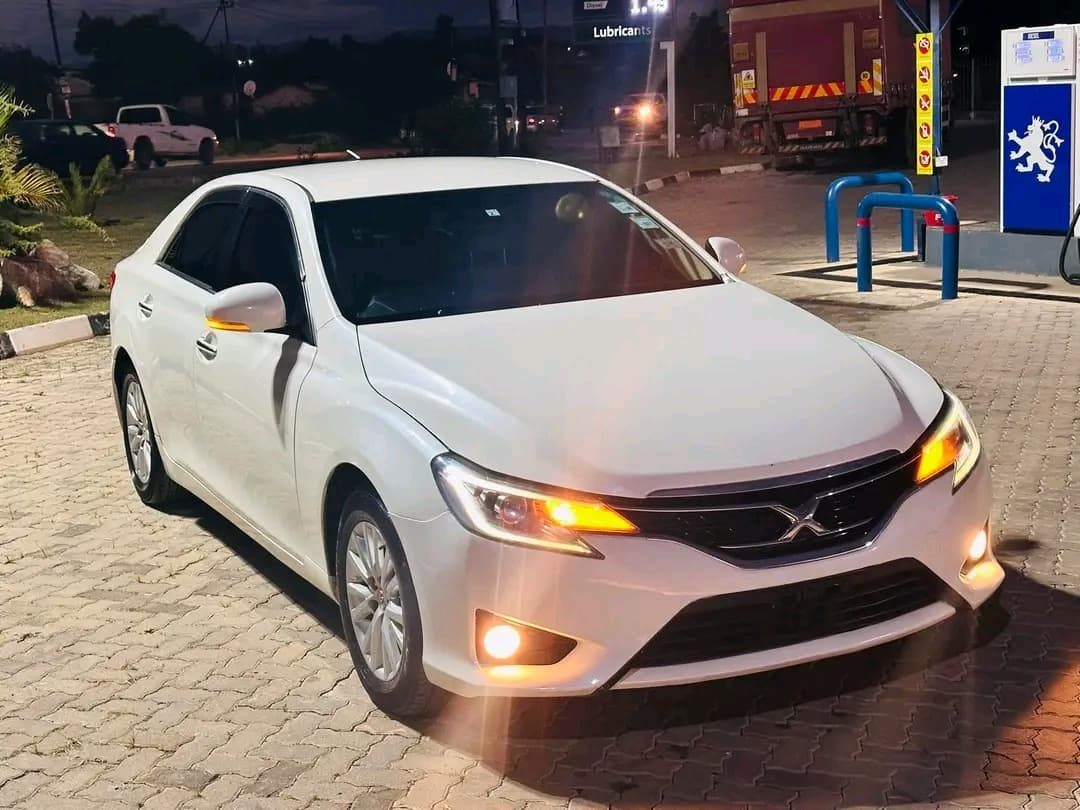 Drive Shift Auto ZW logo