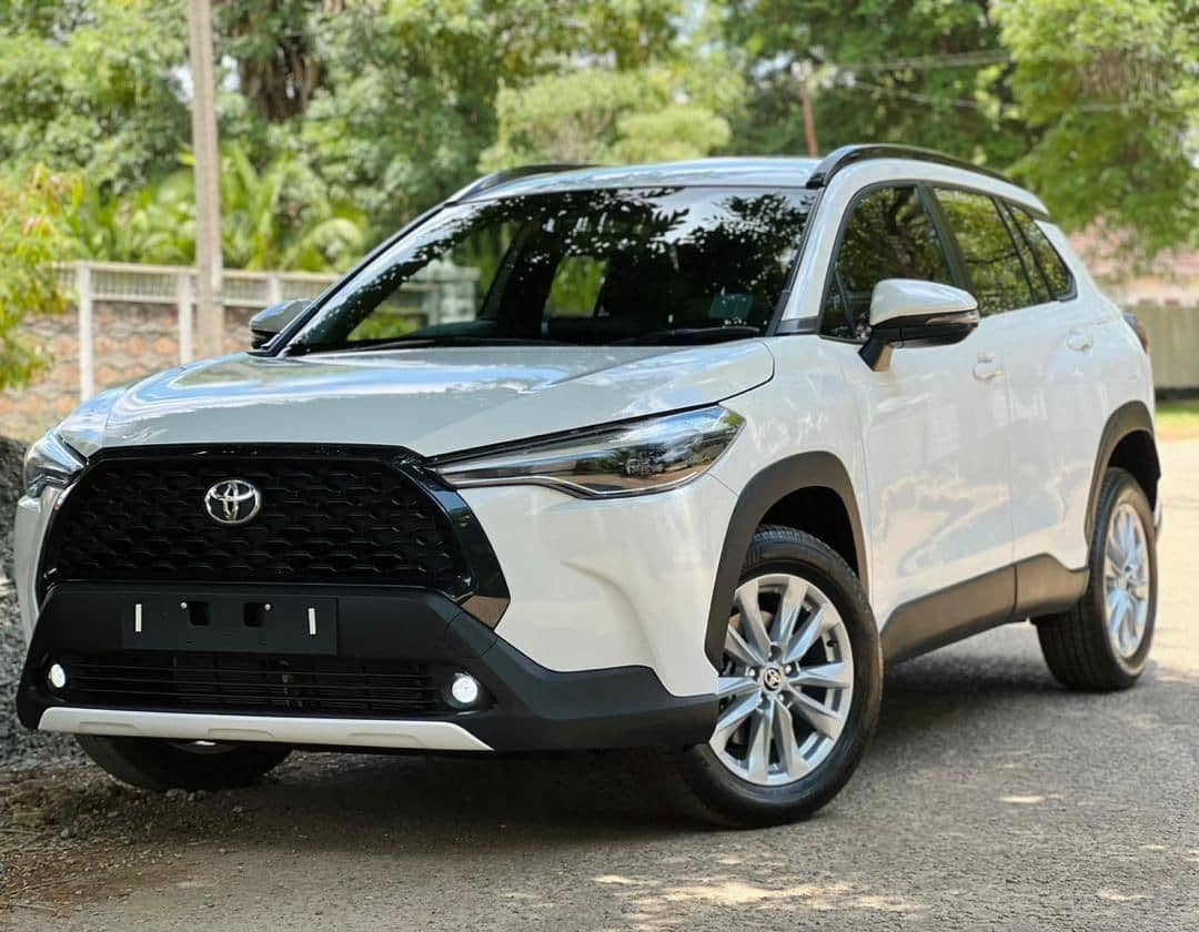 Image 2 Main image 2