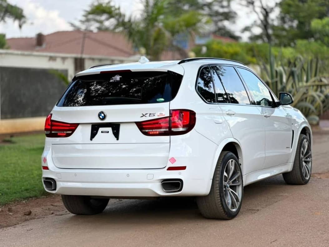 Image 5 Main image 5