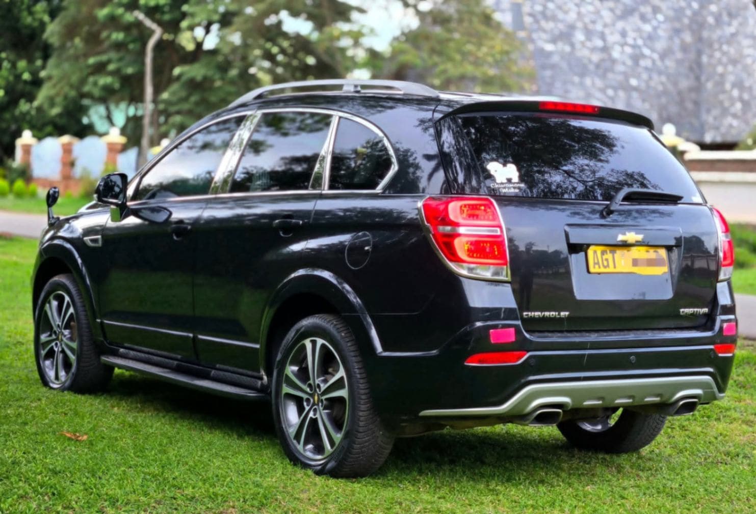 Image 5 Main image 5