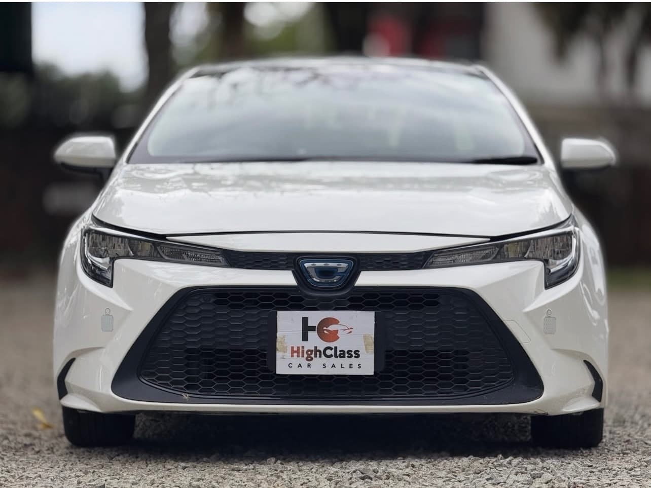 Image 2 Main image 2