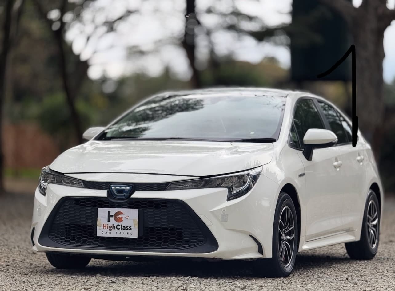 Image 3 Main image 3