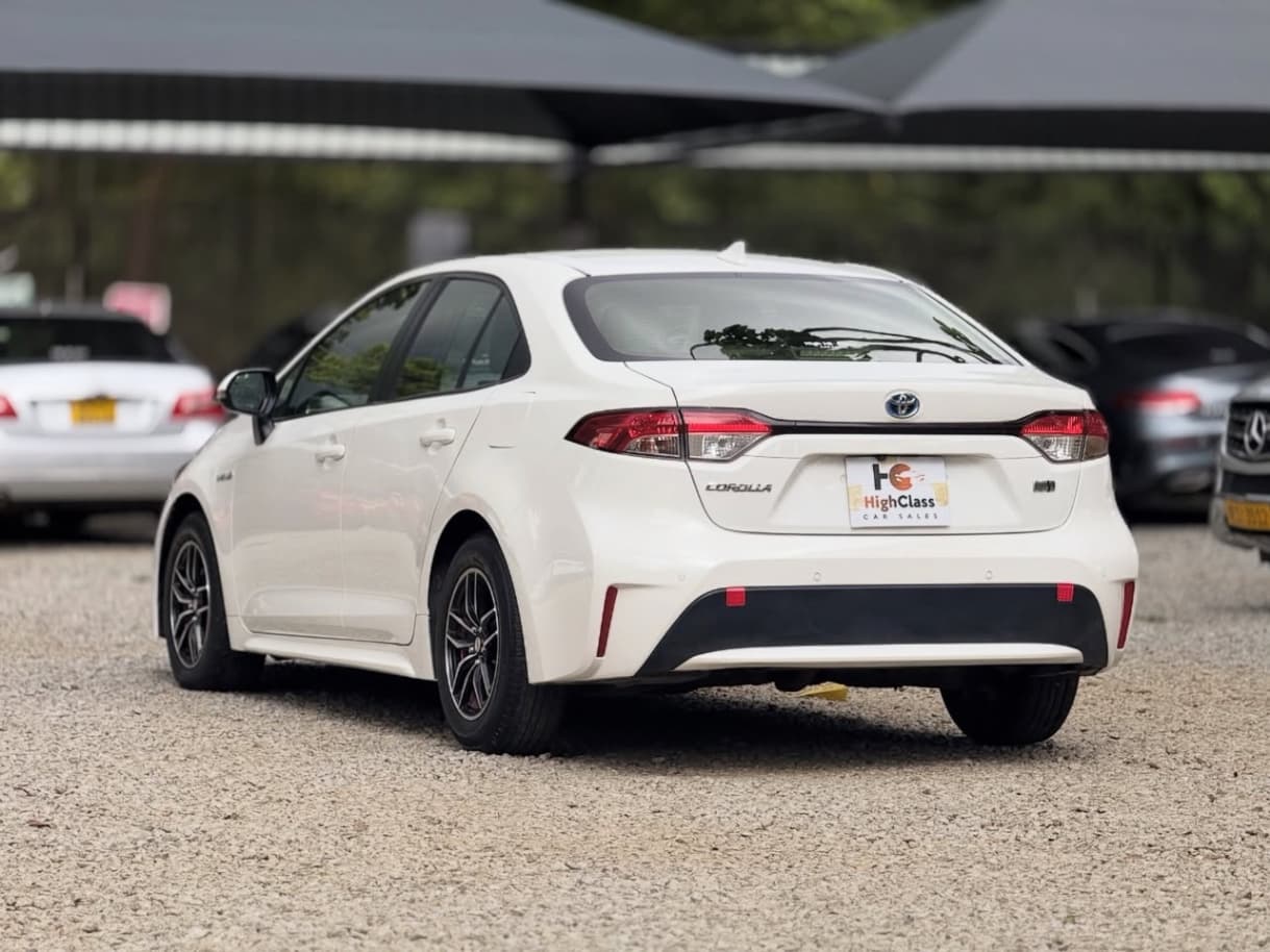 Image 4 Main image 4