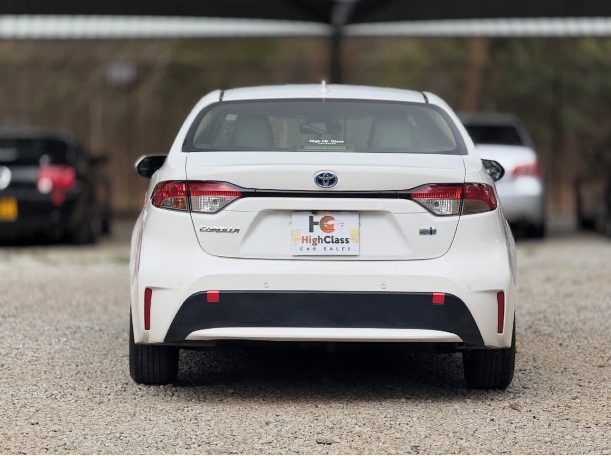 Image 5 Main image 5