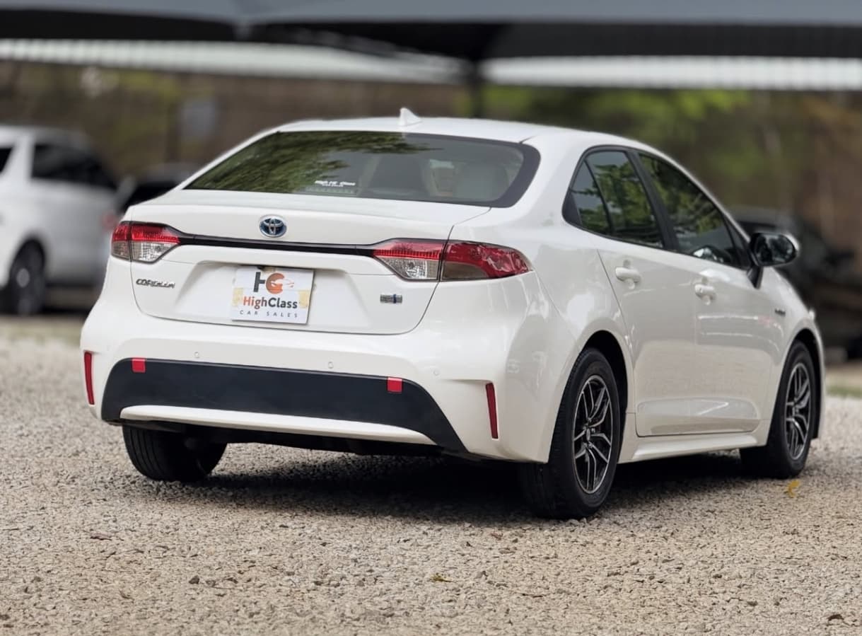 Image 6 Main image 6