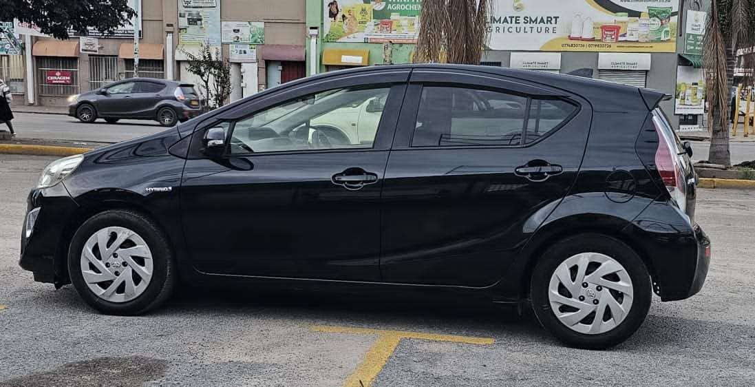 Image 7 Main image 7