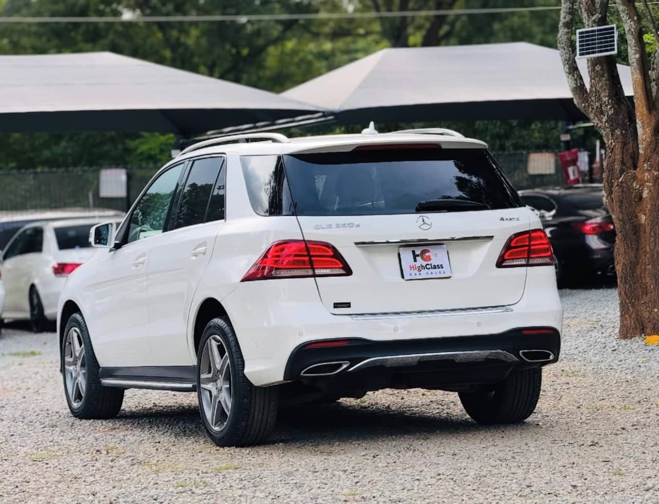 Image 4 Main image 4