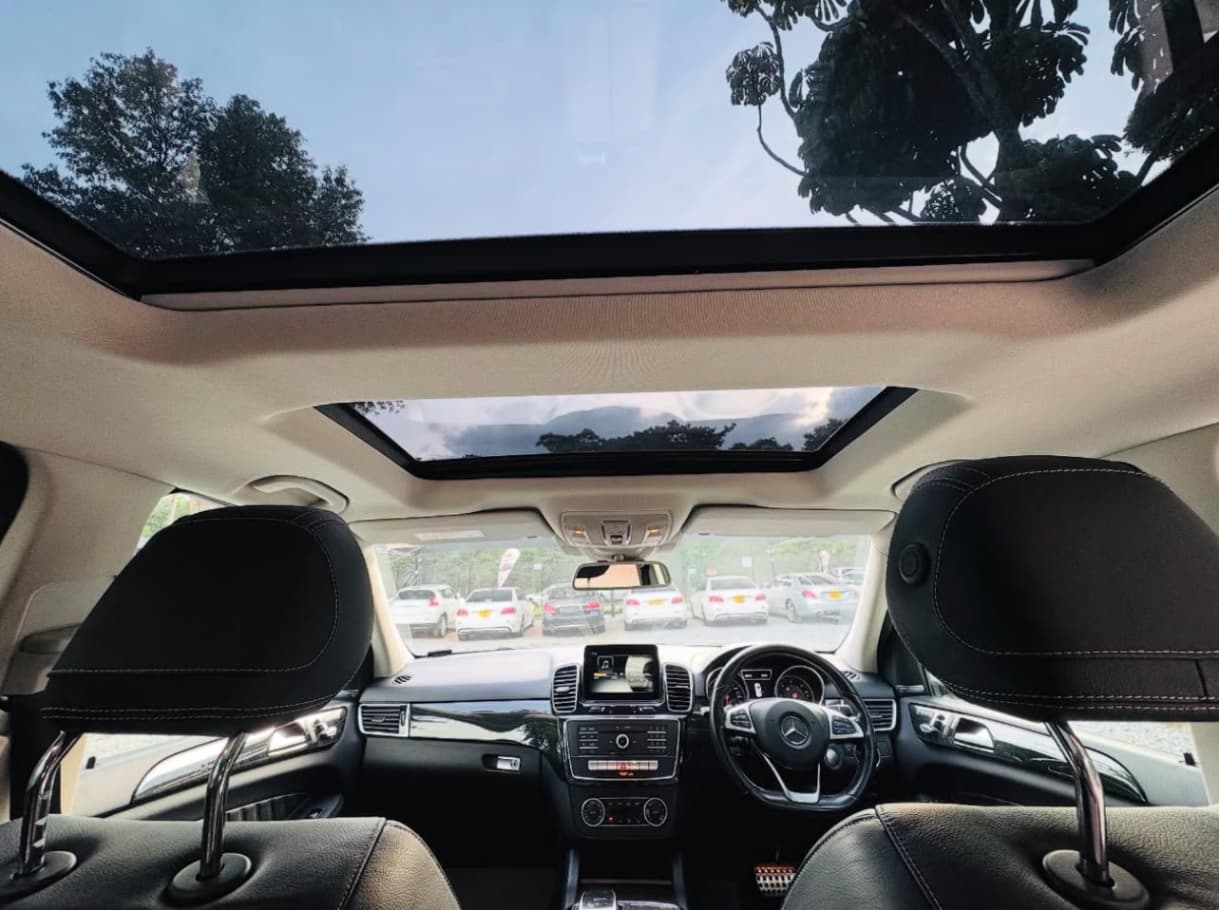 Image 7 Main image 7