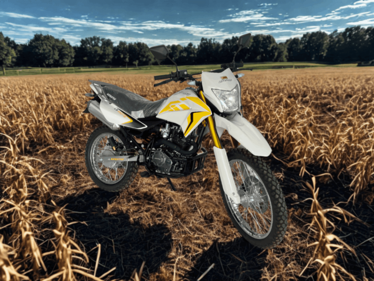 Image 1 Main image 1